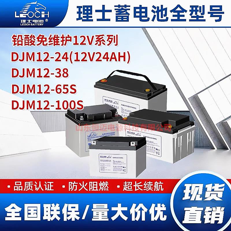理士蓄电池DJM12V24 38 65 100AH机房直流屏UPS/EPS电源专用