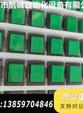 A8A-223-1 船形开关绿色全议价