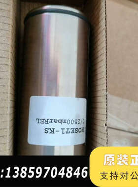 HOPPE 压载探头Hoset1--kS  0/2500mb议价