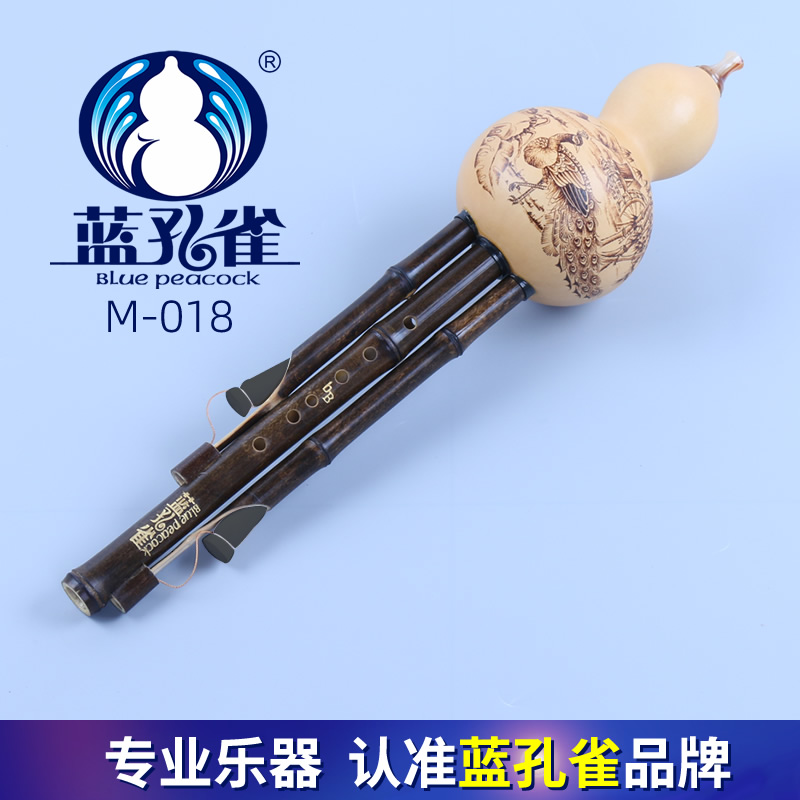 蓝孔雀烙画葫芦丝紫竹表演专业