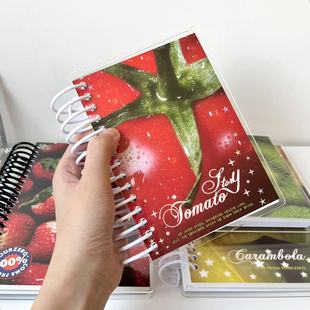 肆林小怪原创/A6尺寸亚克力封面线圈离型本 可爱贴纸胶带收纳册