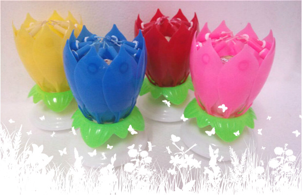 Bougie - Ref 2487789 Image 3