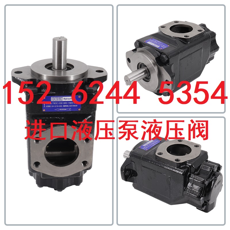 DENISON 丹尼逊 T6D 014/017/020/024 1R00/1R01/1R02/1R03 A1/B1 五金/工具 压力泵 原图主图