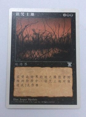 万智牌 诅咒土地 第五版 银 黑 简中 实拍 桌游卡牌 上海文波 MTG