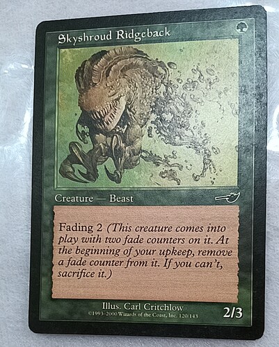 天帷隆背兽 Skyshroud Ridgeback 宿敌 普牌绿 实拍 上海文波 MTG