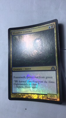 万智牌 闪 林地爬虫 巨龙迷城 多色 银  实拍 上海文波MTG