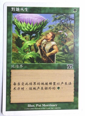 万智牌 野地丛生 第六版 绿色 普 普牌 铁简中 实拍 上海文波 MTG