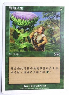 万智牌 野地丛生 第六版 绿色 普 普牌 铁 简中实拍 上海文波 MTG