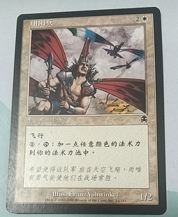 普 启示录 白 翔阳兵 万智牌