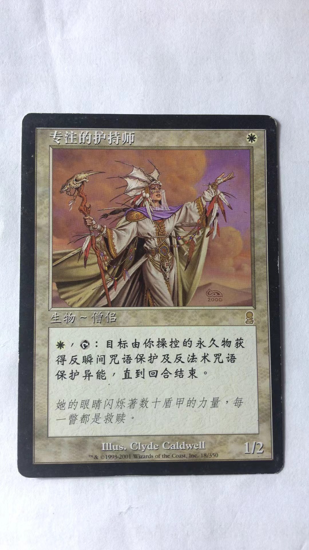 万智牌 专注的护持师 奥德赛 金 白 简中 实拍【上海文波】MTG