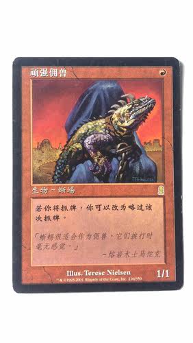 万智牌 顽强佣兽 奥德赛 金 金牌 红色 简中 实拍 上海文波 MTG