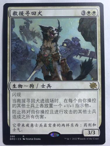 万智牌 救援寻回犬 金 白 金牌 白色 简中 实拍 上海文波MTG