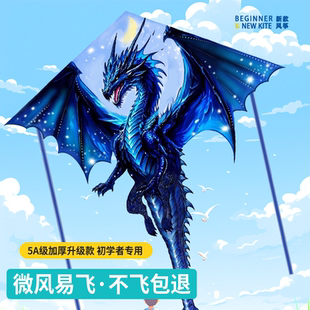 翼龙形风筝风筝儿童微风易飞2026年新款小孩大人专用潍坊高档凤争
