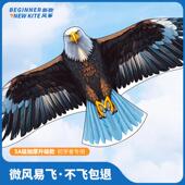 老鹰风筝微风易飞2024年新款 大成人专用网红儿童大型高档潍坊风筝