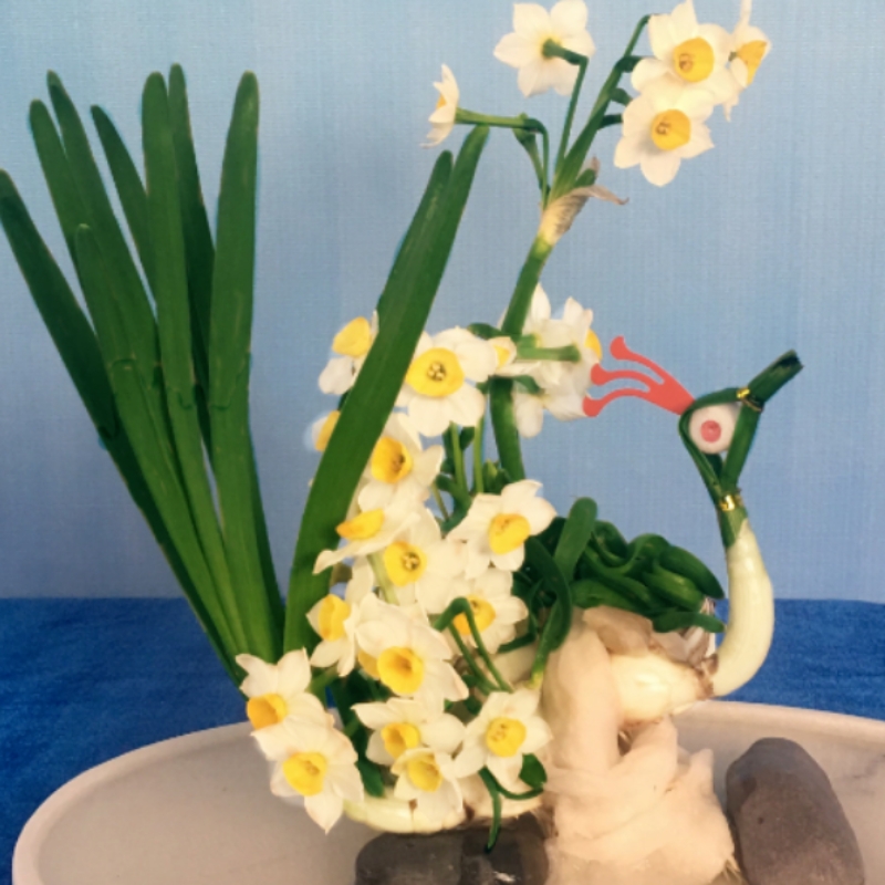 雕刻水仙花种球成品带花盆栽花卉植物室内阳台客厅水培造型比赛