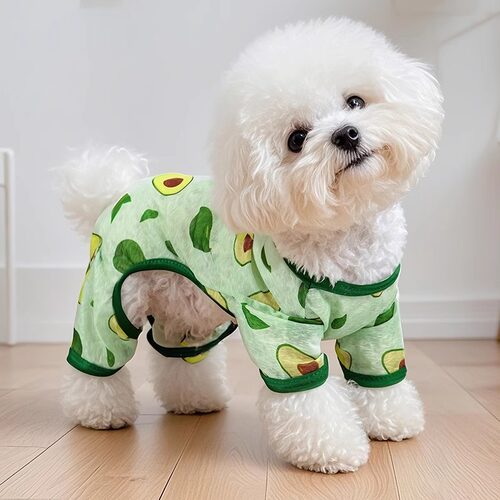 透气狗狗衣服夏季薄款牛油果泰迪比熊幼犬德文猫咪宠物防晒四脚衣