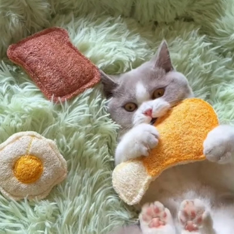 猫咪玩具丝瓜络啃咬洁牙鸡腿自嗨