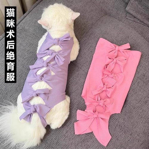 猫咪绝育服公猫母猫防舔衣服透气