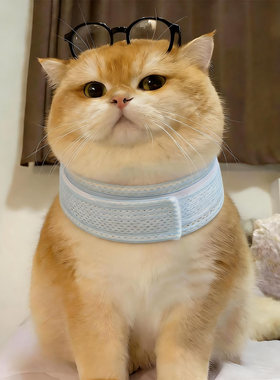 宠物护颈脖圈术后防舔伤口猫头套