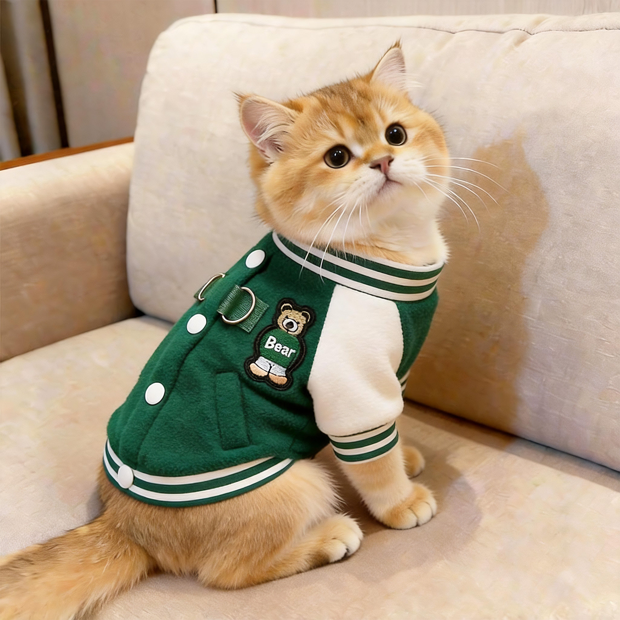 猫咪衣服秋冬潮流棒球服加厚保暖布偶英短机车服金渐层小猫防掉毛