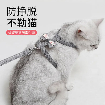 宠物猫咪牵引绳遛猫绳蓝猫幼猫绳