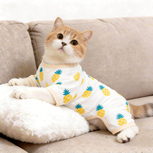 猫咪衣服防掉毛薄款四脚衣夏季透气布偶英短德文幼猫宠物小狗衣服