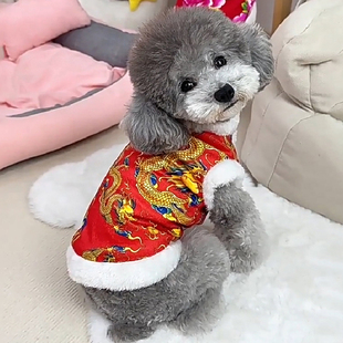 狗狗衣服冬季保暖新年龙袍装登基泰迪博美幼犬英短银渐层猫咪唐装