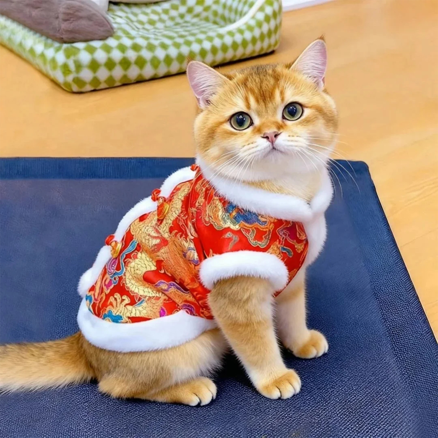 猫咪衣服新年保暖龙袍装秋冬加厚