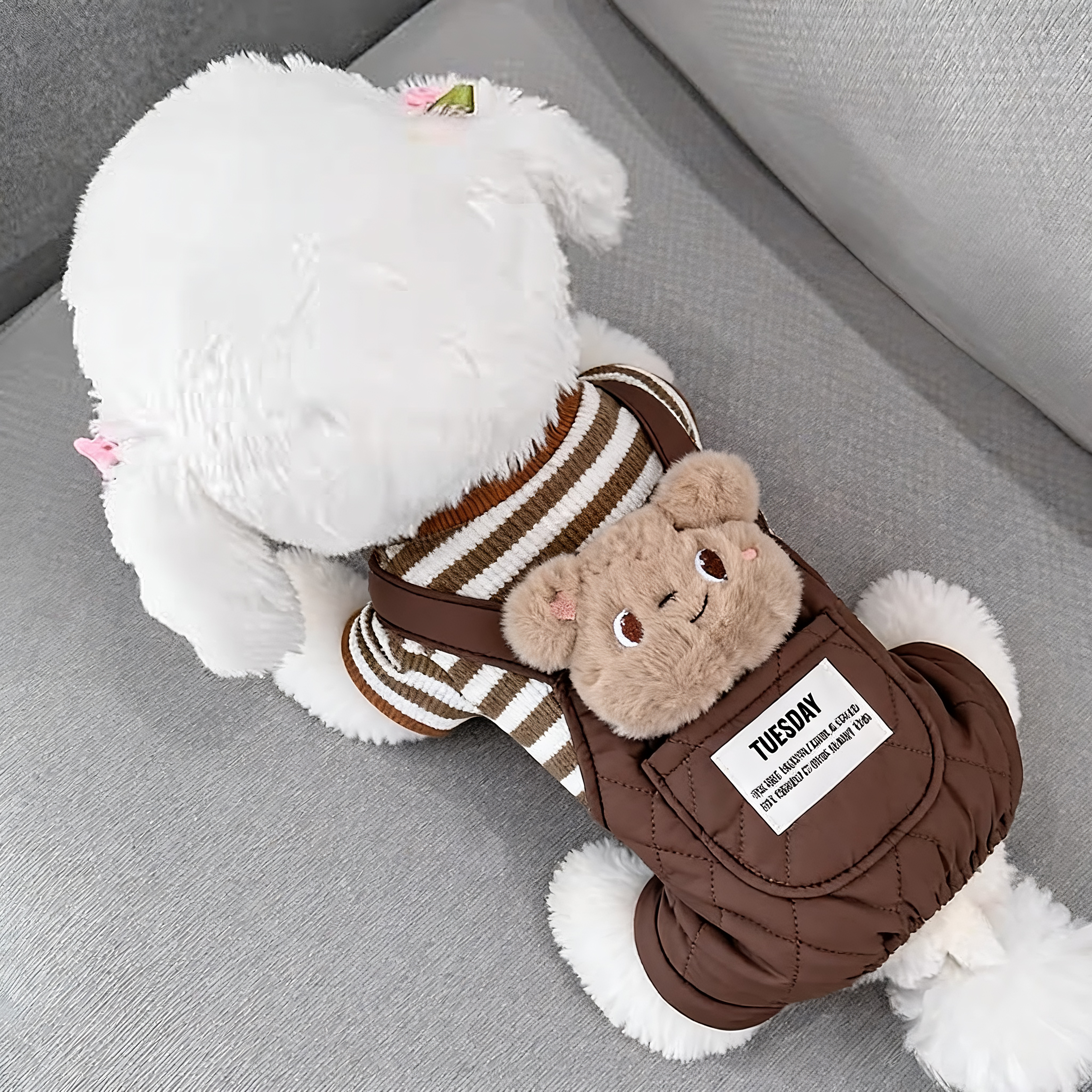 狗狗衣服秋冬熊头可牵引四脚衣