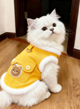 猫咪衣服牛仔可牵引秋冬加绒小熊马甲布偶猫英短银渐层防掉毛棉衣