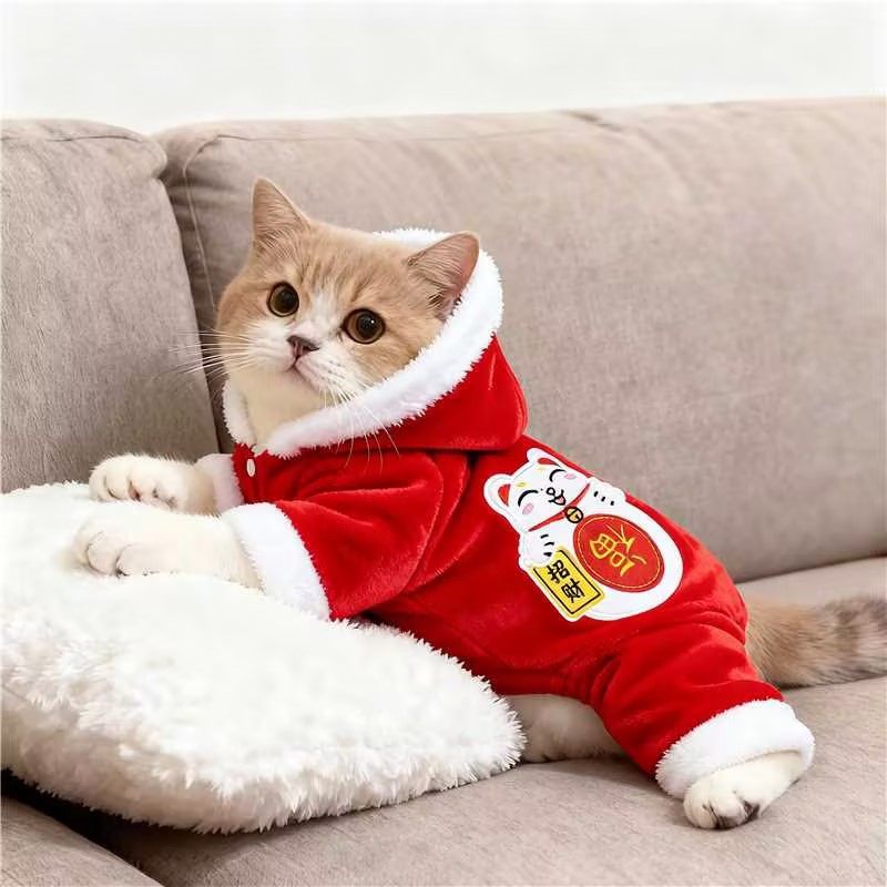 秋冬加厚猫咪衣服招财猫连帽四脚棉衣布偶英短金渐层防寒小猫服饰,宠物/宠物食品及用品,猫宠物服装/雨衣（新）,淘宝优惠券,粉丝福利购,淘宝优惠卷