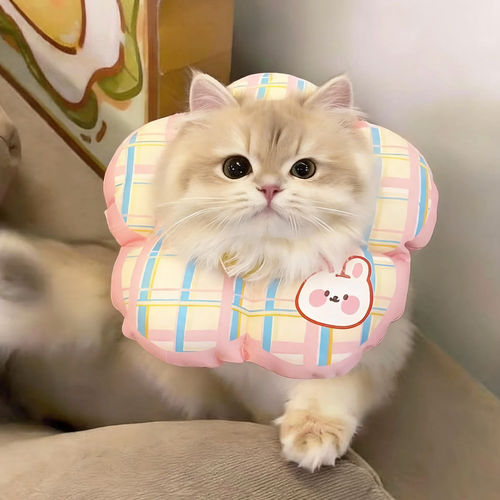 伊丽莎白圈小猫脖圈防舔绝育项圈