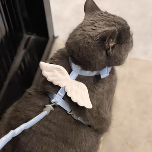 可爱工字型猫牵引绳防挣脱外出调节天使翅膀溜猫绳蓝猫布偶遛狗绳