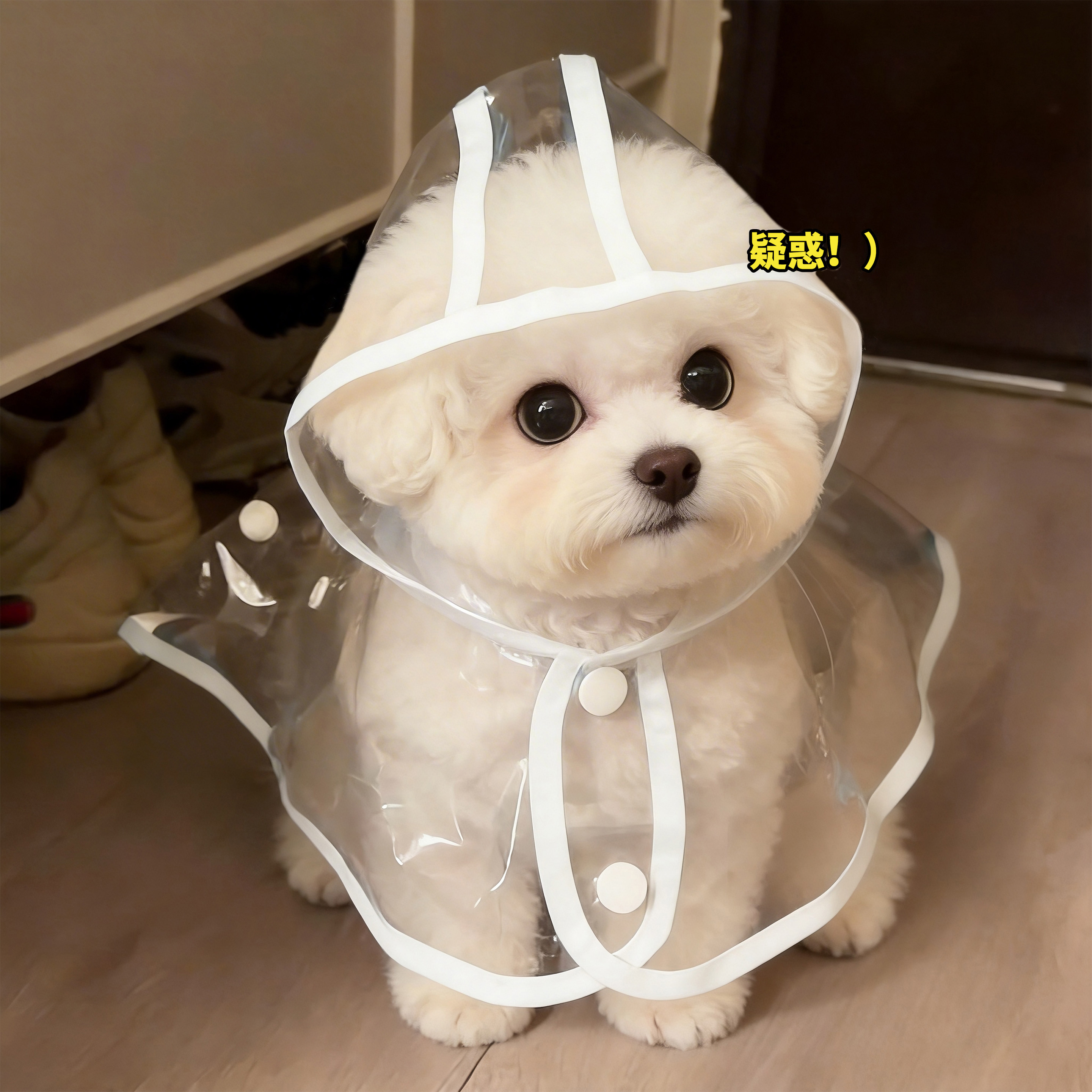 狗狗雨衣防水斗篷透明雨披护肚