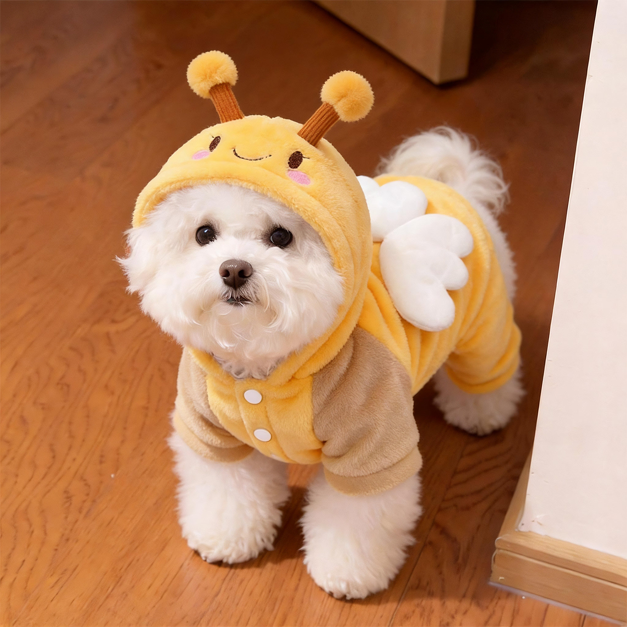 狗狗衣服冬季可爱小蜜蜂连帽棉衣