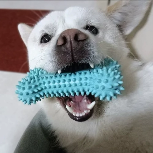 Большая собака игрушка для чистки костей кость зубы, устойчивые к устойчивости к укусу