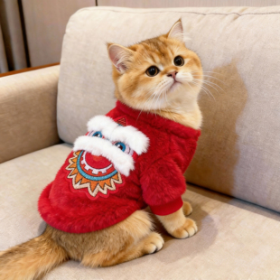 猫咪衣服新年喜庆舞狮头保暖卫衣冬季加绒布偶英短金渐层防掉毛装