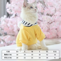 Шал Свитер-Хуанг [два фута]