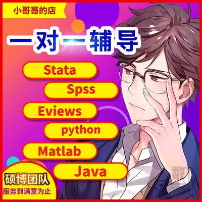 辅导Stata实证分析/数学建模//研究热点/课题申报结项等