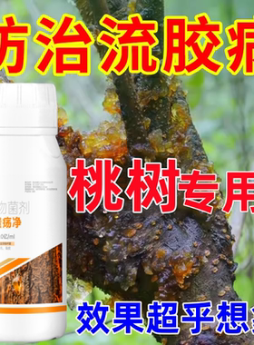 流胶病专用药桃树流胶穿孔疮痂裂皮桃树专用溃疡净桃树专用杀菌剂