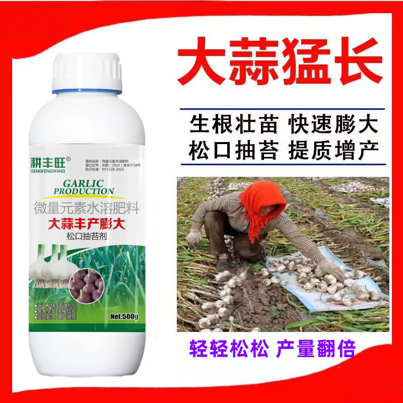 大蒜专用膨大剂生根壮苗大蒜松口抽苔膨大素抗病抗逆大蒜增产高产