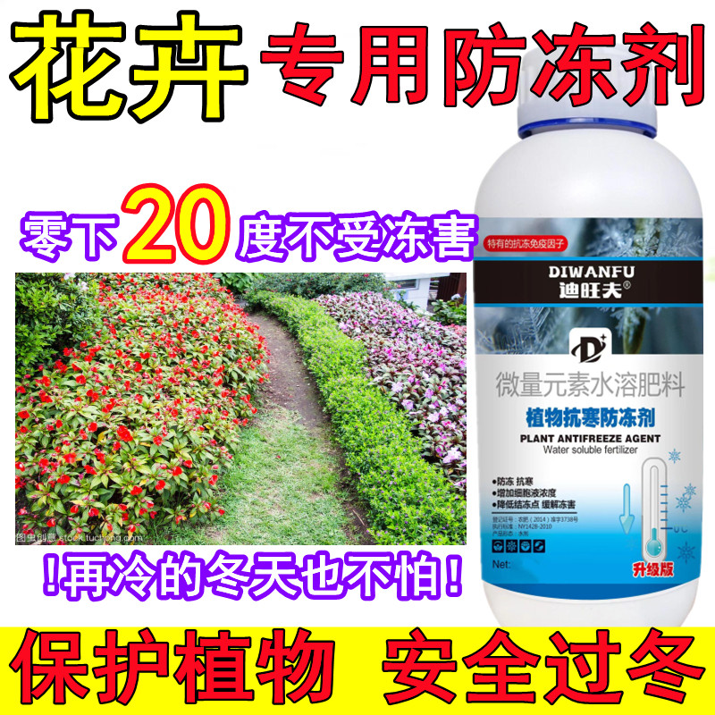 柑橘抗寒防冻技术要点