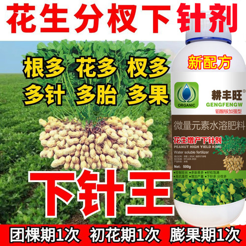 耕丰旺花生分杈下针王花生多果
