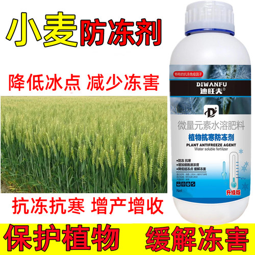 耕丰旺小麦防冻液小麦抗冻防寒剂