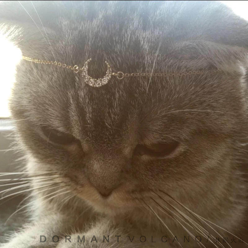 美少女战士系列。精致高级轻奢锆石月亮吊坠项链锁骨链送闺蜜女友|ruв категории Украшения,ювелирные изделия, ожерелье - от Buy2taobao.com для оказания профессиональной услуги покупки агента Taobao