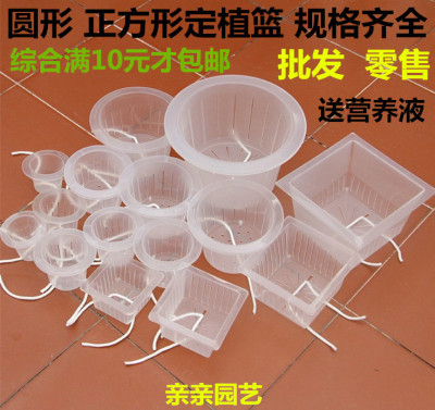 正方形定植篮水培花卉根器