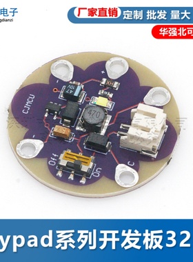 Lilypad系列开发板328P LilyPad LiPower