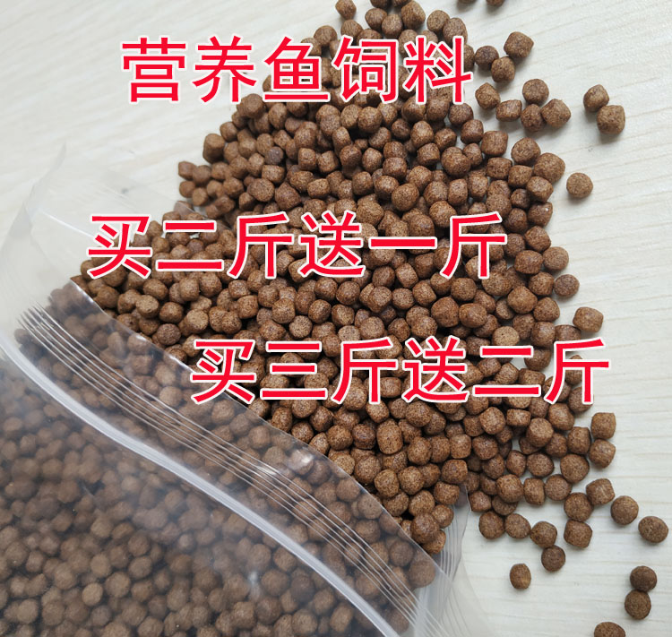 鲤鱼小颗粒饲料发财罗汉通用