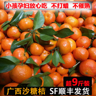 广西桂林新鲜沙糖橘超9斤小橘子孕妇水果不催熟打蜡当季 整箱超甜