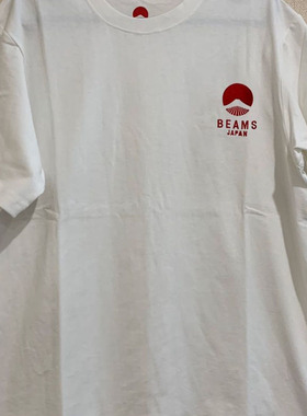 西山好牛BEAMS SSZ日系刺绣富士山青春短袖流行夏季宽松圆领t恤潮